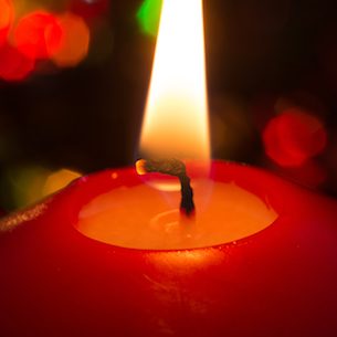 Photo de Madame Josiane CARAGLIU